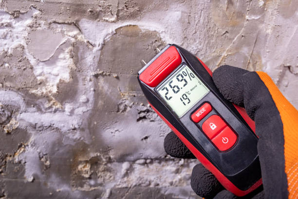 Best Crawl Space Mold Remediation in Hull, IA